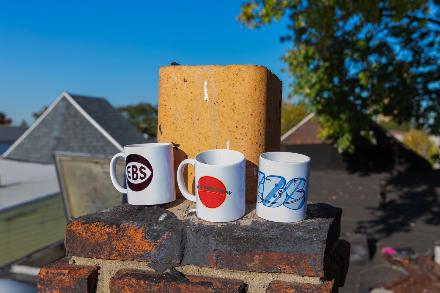 Mug - Classic